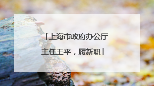 上海市政府办公厅主任王平，履新职