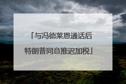 与冯德莱恩通话后 特朗普同意推迟加税