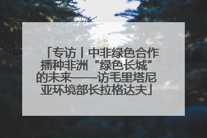 专访丨中非绿色合作播种非洲“绿色长城”的未来——访毛里塔尼亚环境部长拉格达夫