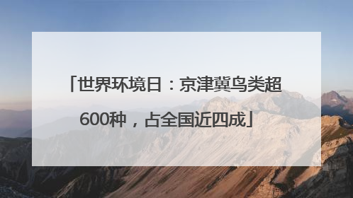 世界环境日：京津冀鸟类超600种，占全国近四成
