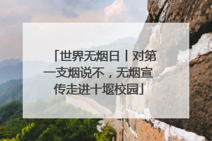 世界无烟日丨对第一支烟说不，无烟宣传走进十堰校园