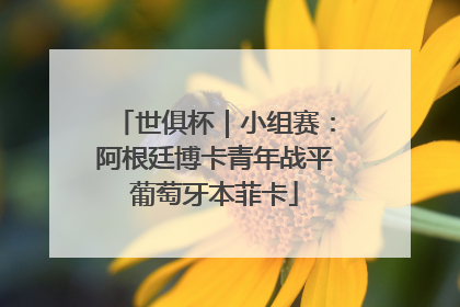 世俱杯｜小组赛：阿根廷博卡青年战平葡萄牙本菲卡