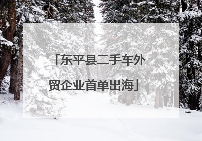 东平县二手车外贸企业首单出海
