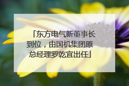 东方电气新董事长到位，由国机集团原总经理罗乾宜出任