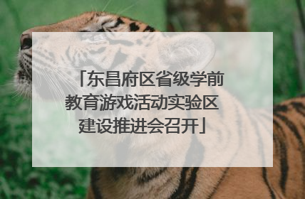 东昌府区省级学前教育游戏活动实验区建设推进会召开