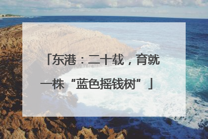 东港：二十载，育就一株“蓝色摇钱树”