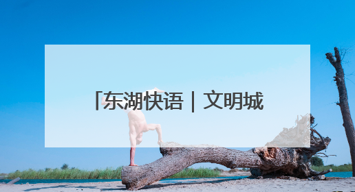 东湖快语｜文明城市创建史，就是一部城市精神成长史
