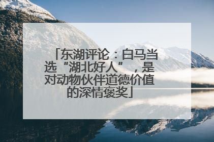 东湖评论：白马当选“湖北好人”，是对动物伙伴道德价值的深情褒奖
