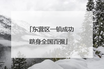 东营区一镇成功跻身全国百强