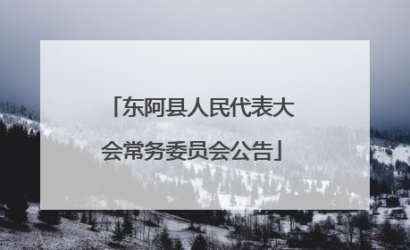 东阿县人民代表大会常务委员会公告
