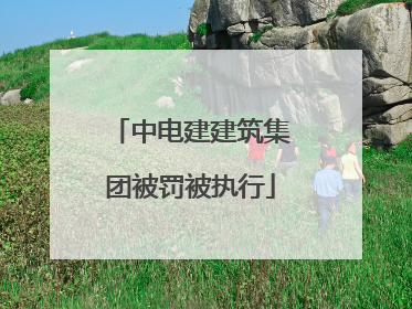 中电建建筑集团被罚被执行