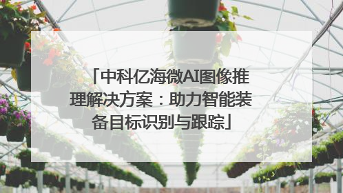 中科亿海微AI图像推理解决方案：助力智能装备目标识别与跟踪