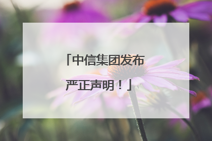 中信集团发布严正声明！