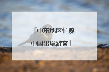 中东地区忙揽中国出境游客