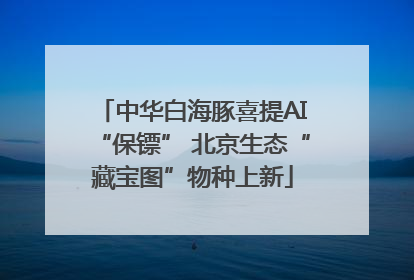 中华白海豚喜提AI“保镖” 北京生态“藏宝图”物种上新