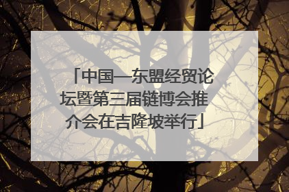 中国—东盟经贸论坛暨第三届链博会推介会在吉隆坡举行