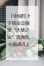 中国红十字基金会探望“天使之旅”青海先心病患儿