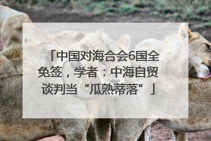 中国对海合会6国全免签，学者：中海自贸谈判当“瓜熟蒂落”