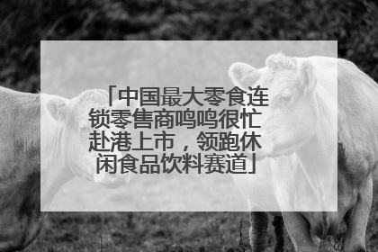 中国最大零食连锁零售商鸣鸣很忙赴港上市，领跑休闲食品饮料赛道