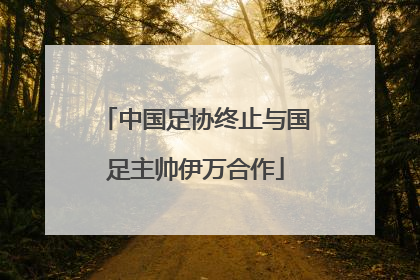 中国足协终止与国足主帅伊万合作