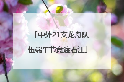 中外21支龙舟队伍端午节竞渡右江