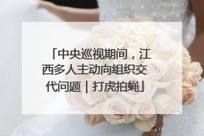 中央巡视期间，江西多人主动向组织交代问题｜打虎拍蝇