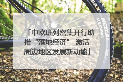 中欧班列密集开行助推“落地经济” 激活周边地区发展新动能