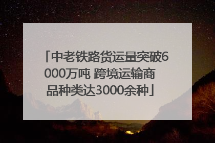 中老铁路货运量突破6000万吨 跨境运输商品种类达3000余种