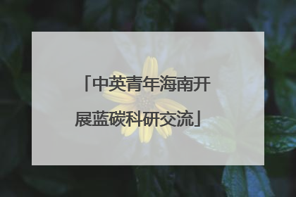 中英青年海南开展蓝碳科研交流
