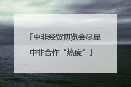 中非经贸博览会尽显中非合作“热度”