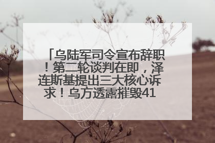乌陆军司令宣布辞职！第二轮谈判在即，泽连斯基提出三大核心诉求！乌方透露摧毁41架俄战略轰炸机