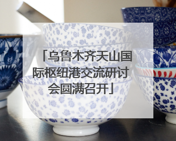 乌鲁木齐天山国际枢纽港交流研讨会圆满召开