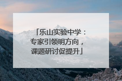 乐山实验中学：专家引领明方向，课题研讨促提升