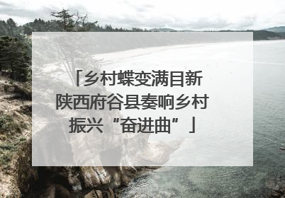 乡村蝶变满目新 陕西府谷县奏响乡村振兴“奋进曲”