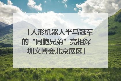 人形机器人半马冠军的“同胞兄弟”亮相深圳文博会北京展区