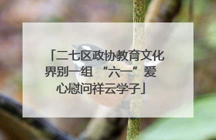 二七区政协教育文化界别一组 “六一”爱心慰问祥云学子