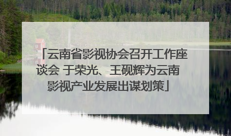 云南省影视协会召开工作座谈会 于荣光、王砚辉为云南影视产业发展出谋划策