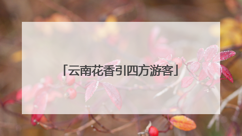 云南花香引四方游客
