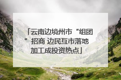 云南边境州市“组团”招商 边民互市落地加工成投资热点