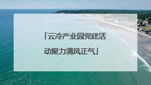云冷产业园党建活动聚力清风正气