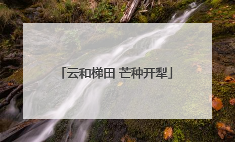 云和梯田 芒种开犁