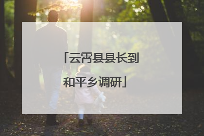 云霄县县长到和平乡调研