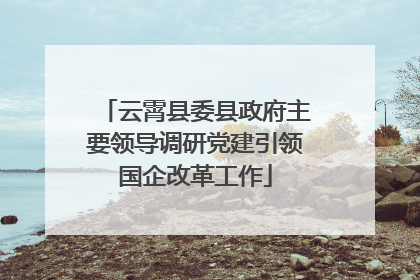云霄县委县政府主要领导调研党建引领国企改革工作