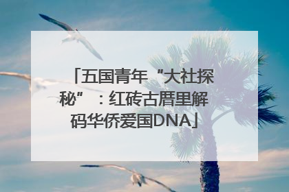五国青年“大社探秘”：红砖古厝里解码华侨爱国DNA