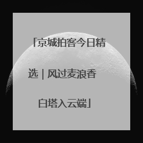 京城拍客今日精选｜风过麦浪香 白塔入云端