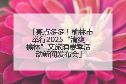亮点多多！榆林市举行2025“清爽榆林”文旅消费季活动新闻发布会