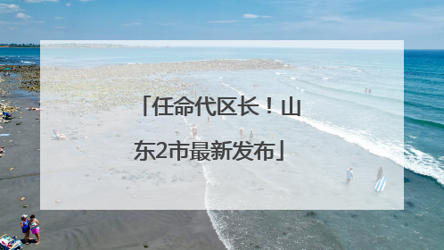 任命代区长！山东2市最新发布
