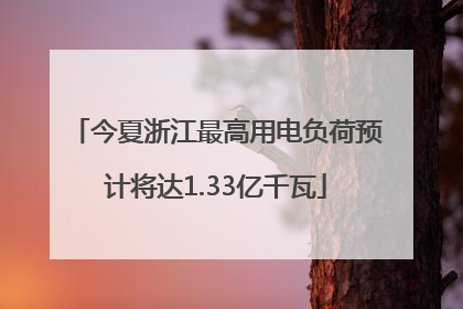 今夏浙江最高用电负荷预计将达1.33亿千瓦