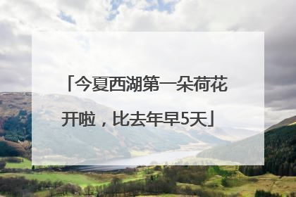 今夏西湖第一朵荷花开啦，比去年早5天
