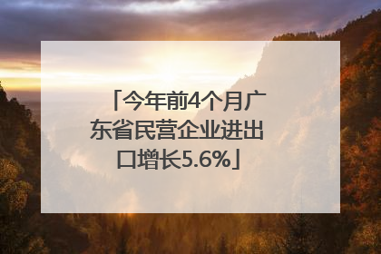 今年前4个月广东省民营企业进出口增长5.6%